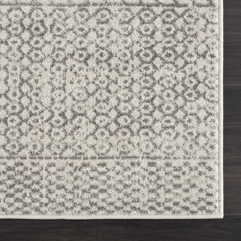 Aleix Southwestern Indoor Rug, Runner 2'7" x 7'3"