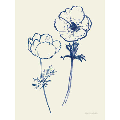 Ink Anemones II by Sara Zieve Miller - Wrapped Canvas Print