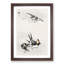 Three Swallows by Numata Kashu - Framed Print-55769245-55769249