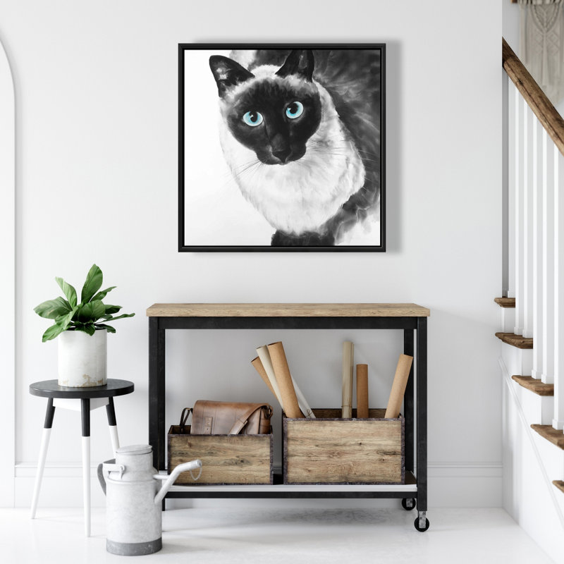 " Blue Eyes Siamese Cat "