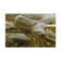 Latitude Run® Funny Anaconda Silly Anaconda Outside Wall Art | Wayfair