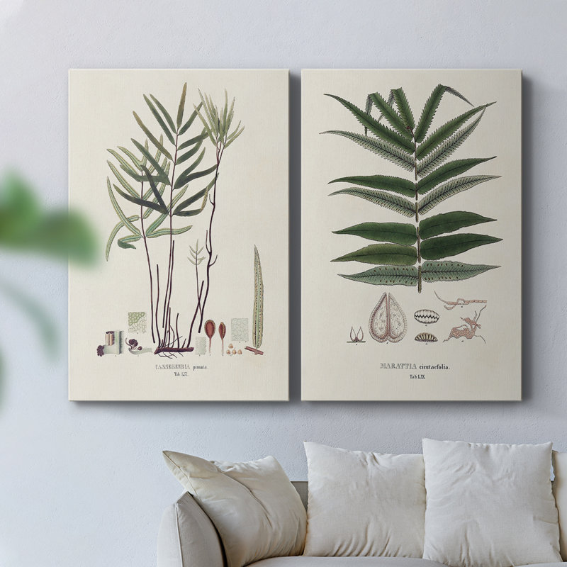 Toile tendue avec galerie Botanical Society Ferns, H 12 po x l 16 po