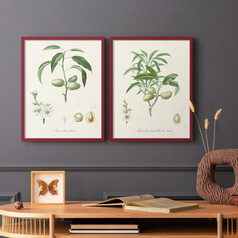 Impression encadrée botanique antique I-Premium - prête à être accrochée - aucun clou requis, Rouge, H 11 po x l 18 po