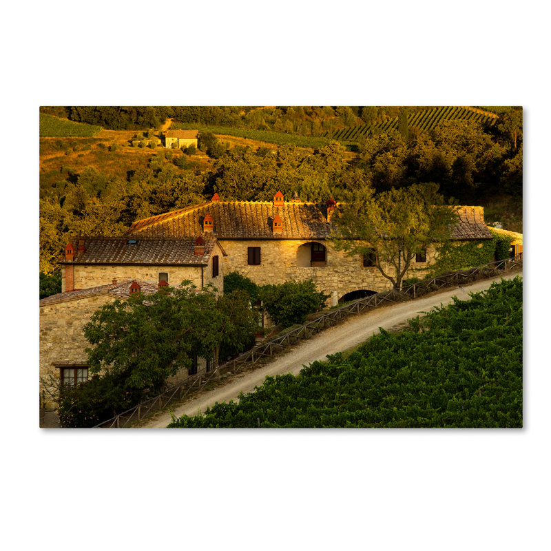 «Vineyard Evening» par Leeth, reproduction de photo sur toile tendue, H 12 po x l 19 po x P 2 po