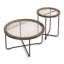 Ensemble de tables basses et de tables d'appoint en verre de couleur noyer foncé Changhong pour le salon-131456513