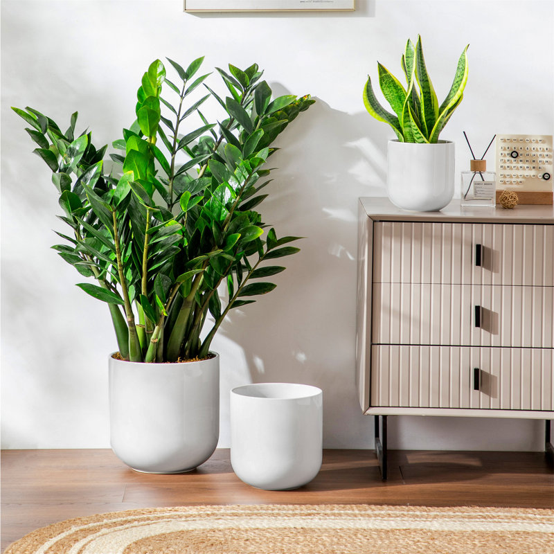 HDHPOT Ceramic Pot Planter