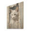 Minimalisme, portrait de chat beige I - art mural en bois sur bois de pin naturel-551595180
