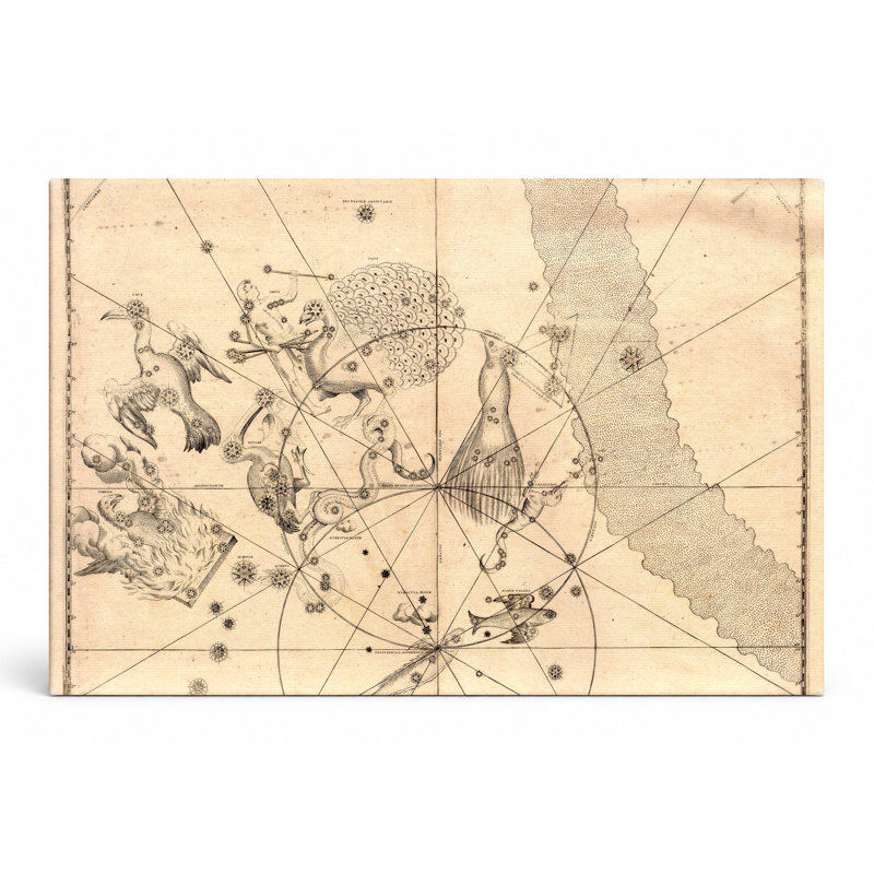 Modbury - Southern Constellations (1603) - Paysage, art mural sur toile, L 20 po x H 16 po