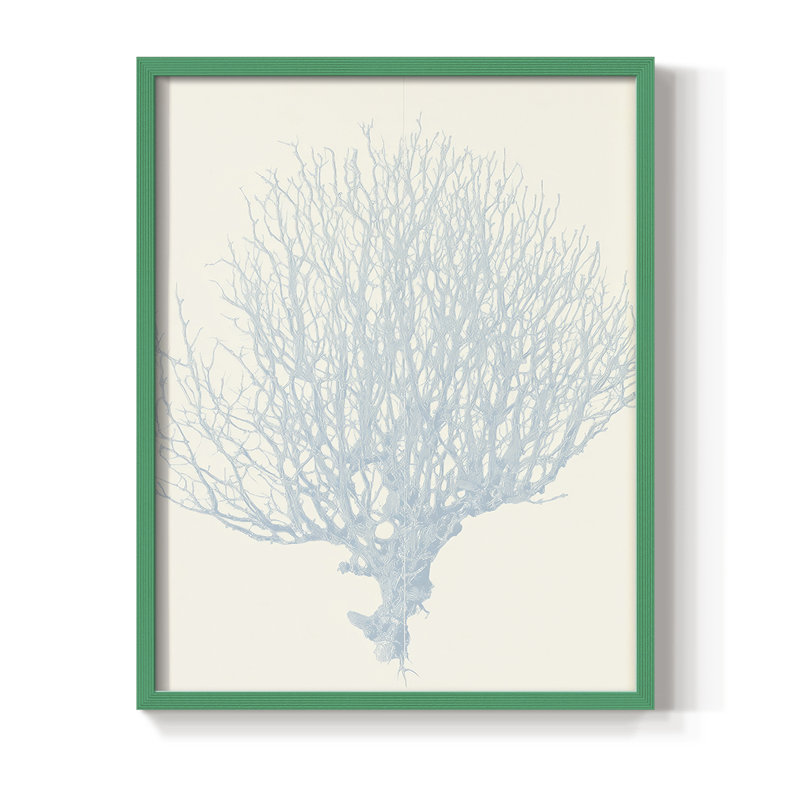 NAUTICAL Series XIII, reproduction encadrée - bois massif, H 30 po x l 24 po, Vert