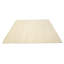 Tapis oriental crème crème moderne 6 x 6 Indo Gabbeh