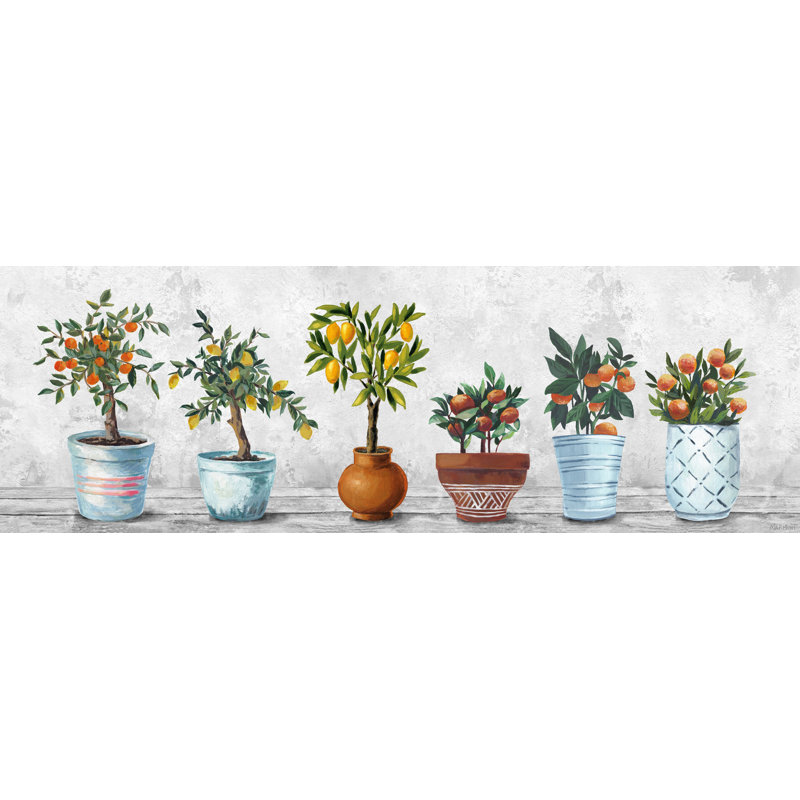 Abstract Pots And Oranges - Wrapped Canvas Painting, 51cm H x 152cm W x 3.81cm D