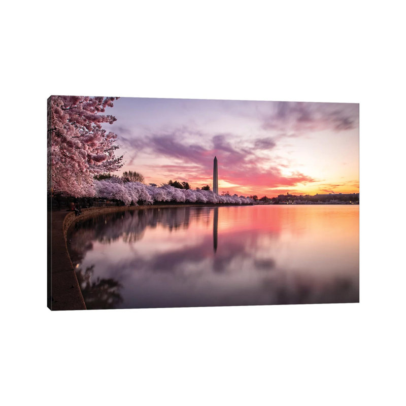 Cherry Blossoms Washington Monument by Eric Fisher - Print on Canvas, Wrapped Canvas, 20.32 cm H x 30.48 cm W