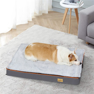 Orthopedic Dog Bed