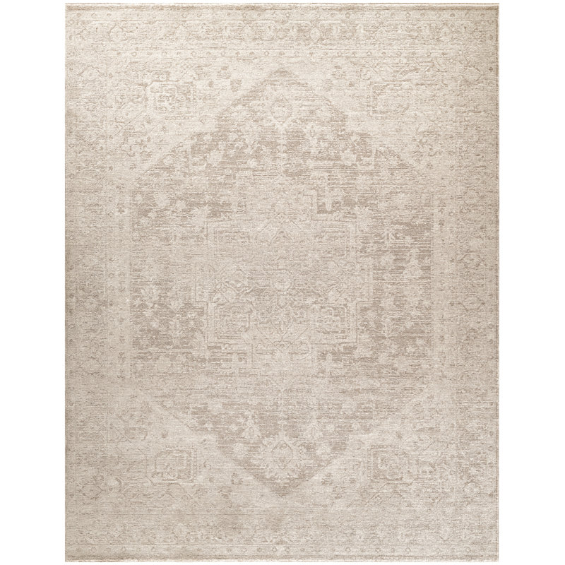 DKNY Pure Shades 4' x 6' Beige Vintage Indoor Rug, Rectangle 4' x 6'