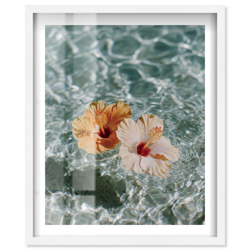 «Floating Hibiscus Shadowbox», art mural côtier par Notoriart, cadre blanc, 24 x 30, H 31 po x l 25 po, Cadre blanc