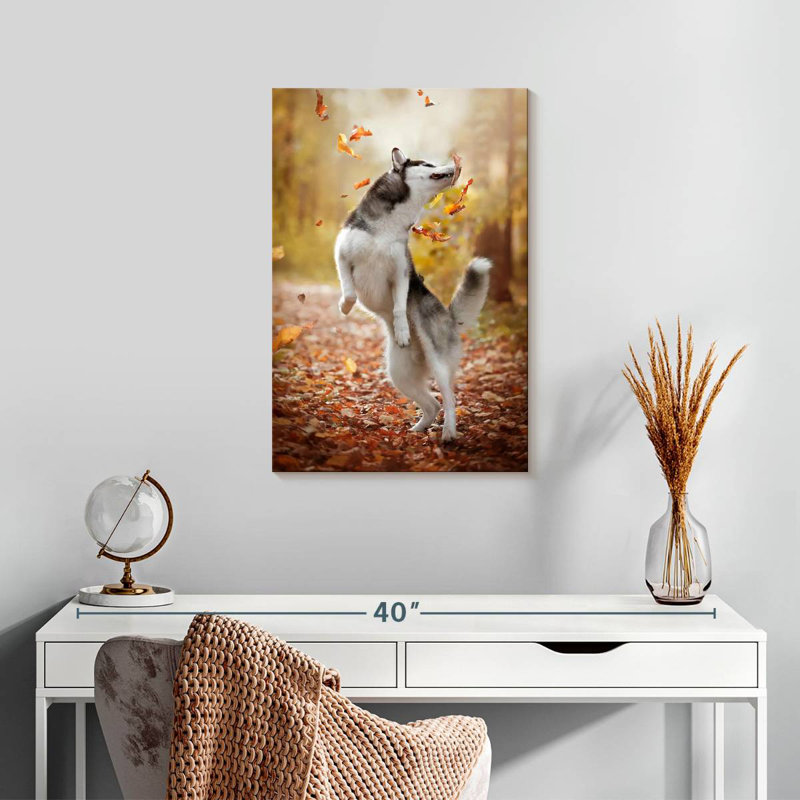 Husky Brampt jouant à l'automne, H 24 po x l 16 po