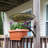 African Sunflower Birdbath with Wall Mount Bracket-64543494