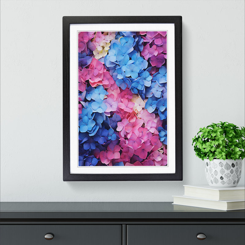 Hydrangea Colour Field - Single Picture Frame Print on Wood, 34cm H x 25cm W x 2cm D, Black Framed