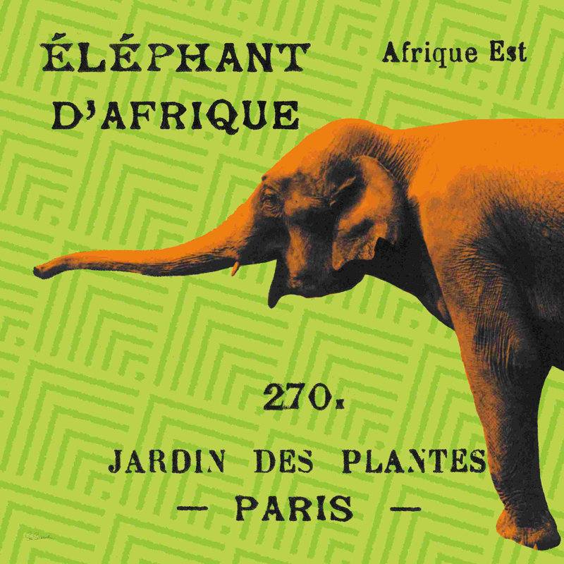 «Bright Safari Elephant» par Sue Schlabach, art textuel sur toile tendue, H 12 po x l 12 po, Cadre simple érable érable, Non