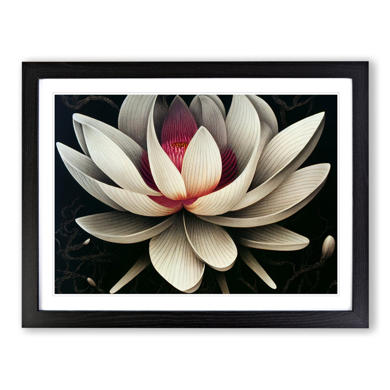 Fantastic Lotus Flower - Single Picture Frame Print, Black, 46cm H x 64cm W x 2cm D