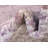 Malynn Oriental Area Rug-626042047-540162552