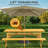 8-Person Wooden Picnic Table with Built-In Benches and Umbrella Hole-1463383095