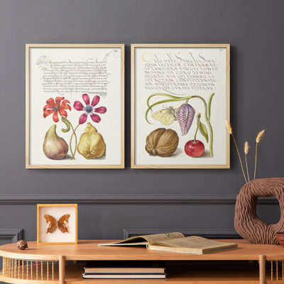 Reproduction encadrée Hoefnagel de spéculations tropicales de qualité supérieure - prêt à accrocher - aucun clou requis - aucun clou requis