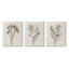 «Stupell Industries Beige Cottage Cottage», ensemble de 3 toiles murales par Ros Ruseva-91311065
