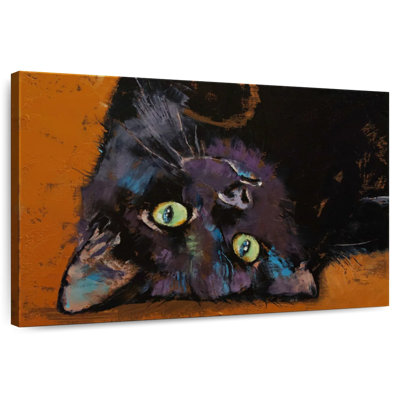 Chaton à l'envers