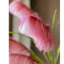 Tige de roseau artificielle rose