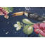 Machine Woven Blue Indoor / Outdoor Rug-84974789