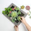Ensemble de 20 plantes artificielles dans un vase décoratif 15,8 po