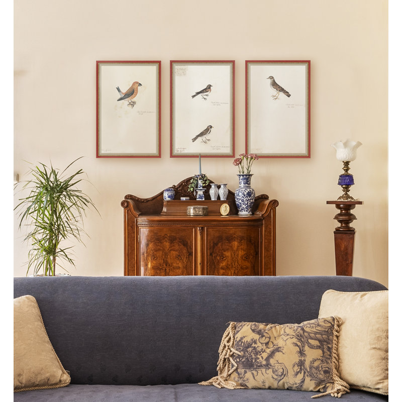 18th Century Bird Re-Strikes XIV Painting by Olaf Rudbeck