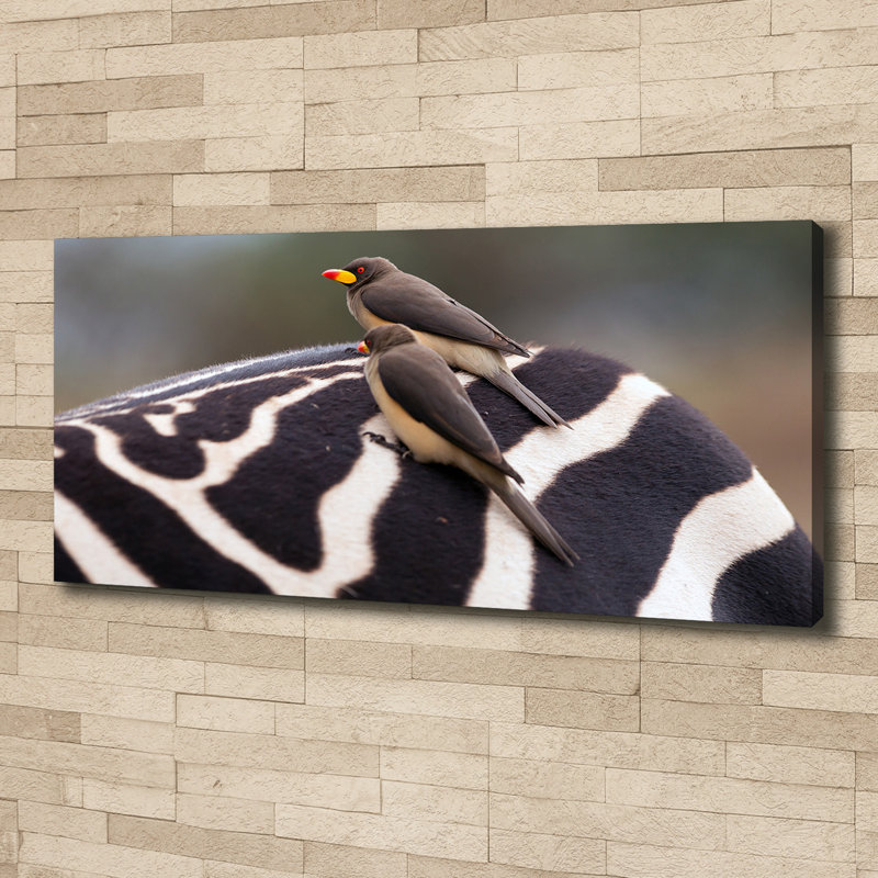 Birds And Zebra - No Frame Print on Canvas