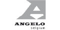 Angelo logo
