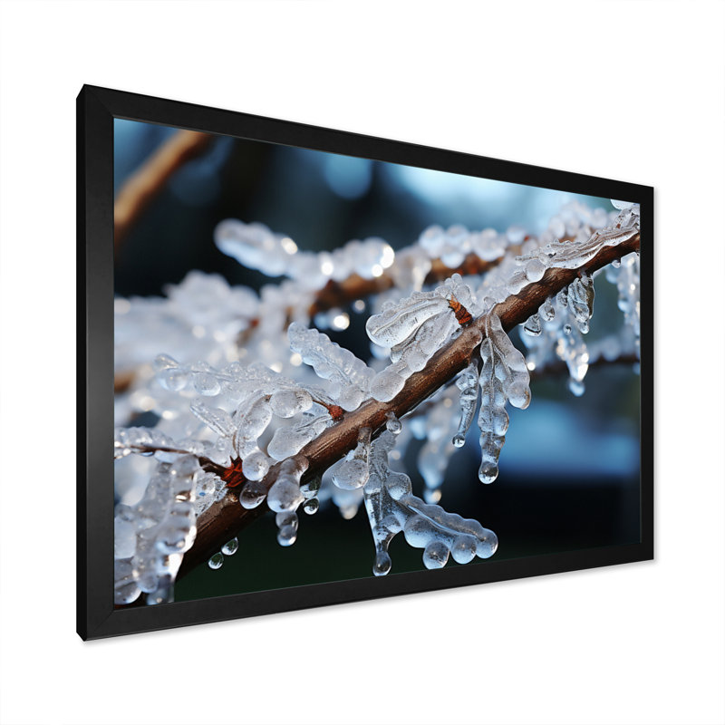 Arbre glacé en hiver IV - reproduction, H 16 po x l 32 po x P 1 po, Cadre simple noir