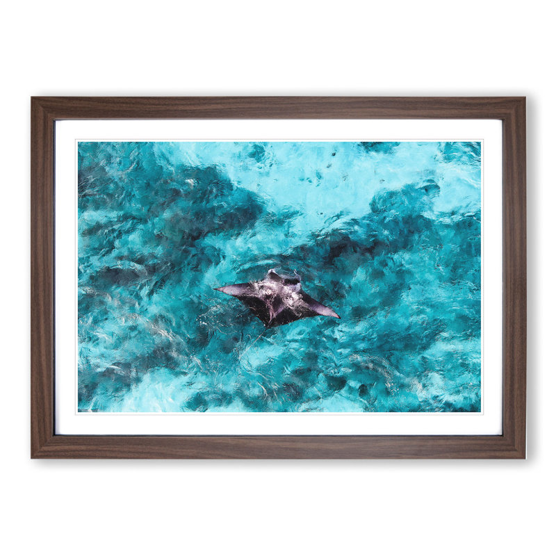 Manta Ray - Picture Frame Painting, 36cm H x 48cm W x 2cm D, Walnut Framed