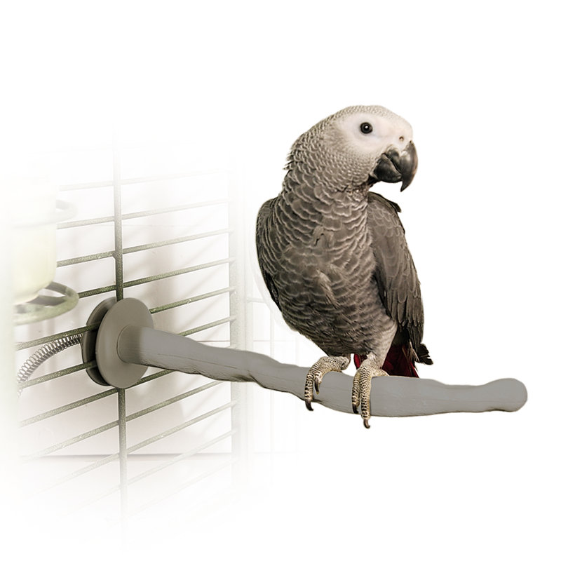Metal Bird Perch for Inside Cage, Medium (1" x 13")