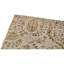 Oriental Area Rug in Brown