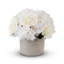 Riley Roses Arrangement in Planter
