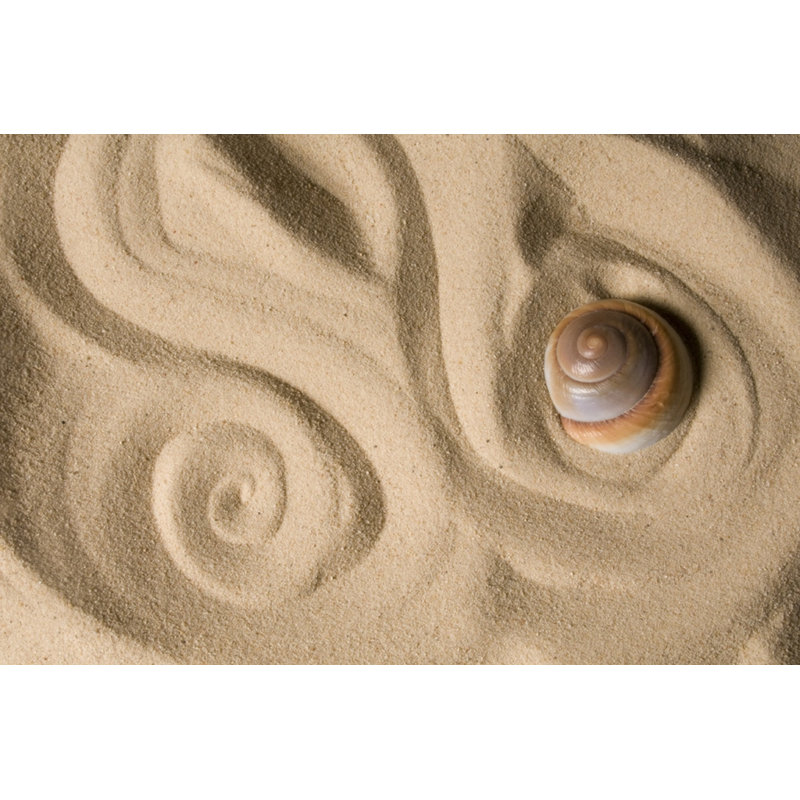Seashell In Swirled Sand - Wrapped Canvas Art Prints, 81cm H x 122cm W x 3.8cm D