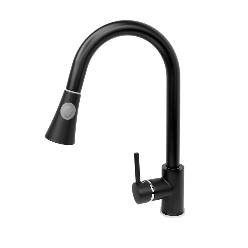 Belfry Kitchen Stanhope Kitchen Faucet, Black