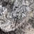 Indoor Rug-1482153096