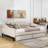 Chantavia Full Upholstered Daybed with 2 Drawers