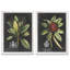 «Royal Foliage III» par Vincent Van Gogh - cadre photo 2 pièces, reproduction d'art-124426964-124426966-124441029