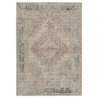 Debbe Oriental Indoor Rug