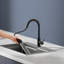 Robinet de cuisine à poignée simple avec douchette extractible noir mat-111996123