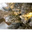 6' H Lighted Artificial Christmas Tree