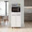 White 2-door Kitchen Storage Cabinet