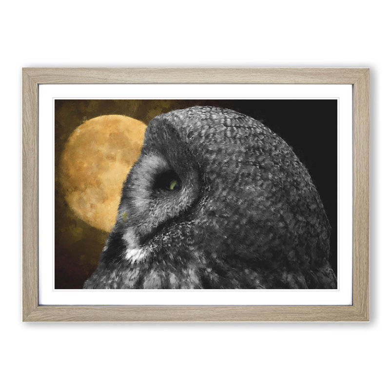 Great Grey Owl Vol.1 - Picture Frame Painting, 27cm H x 36cm W x 2cm D, Oak Framed